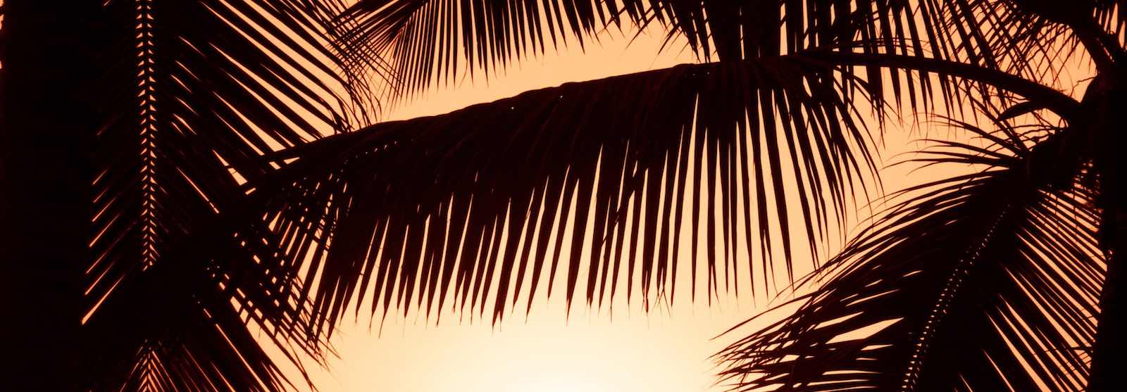 St. Kitts & Nevis 2nd Passport & Citizenship by Investment